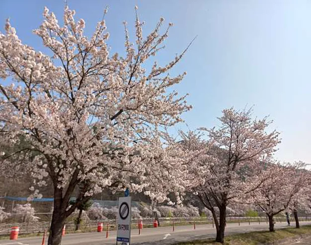 속초애돈카츠
