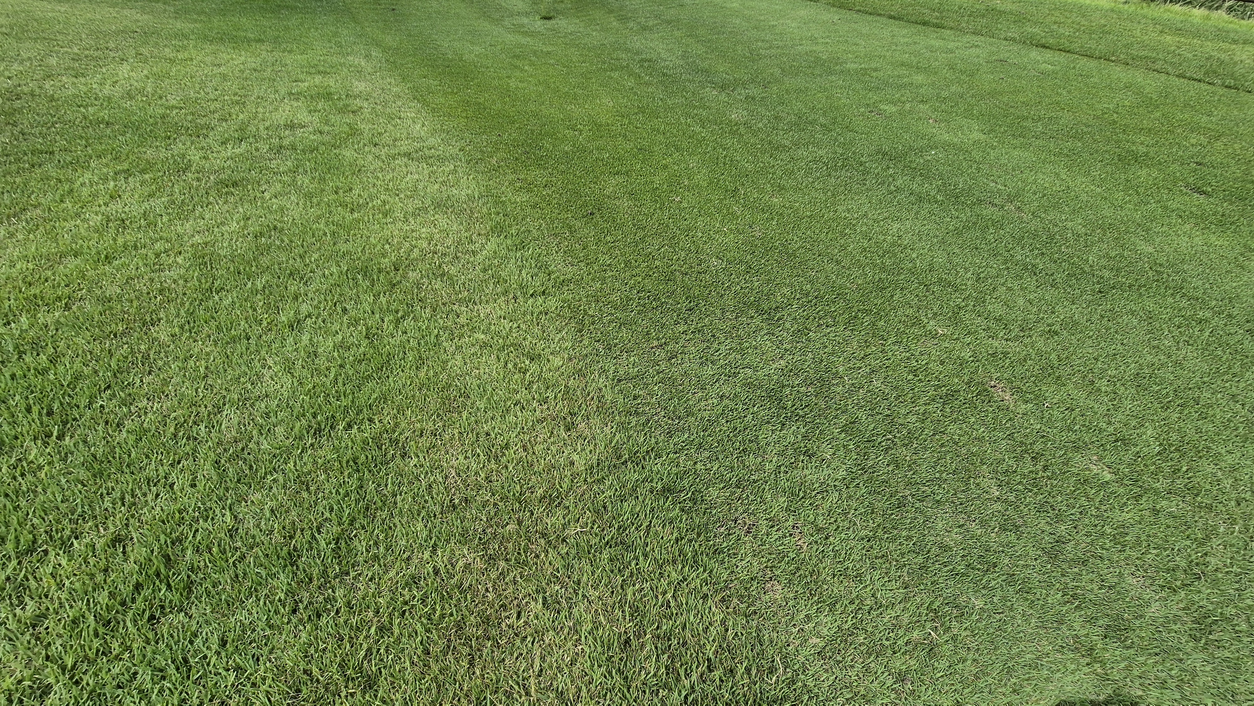 세일cc 들길-산길 코스 라운드 후기