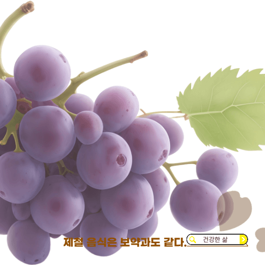 10월 제철과일