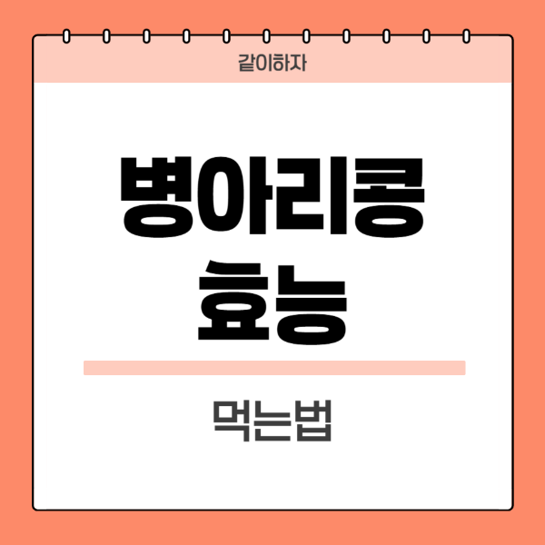 병아리콩효능