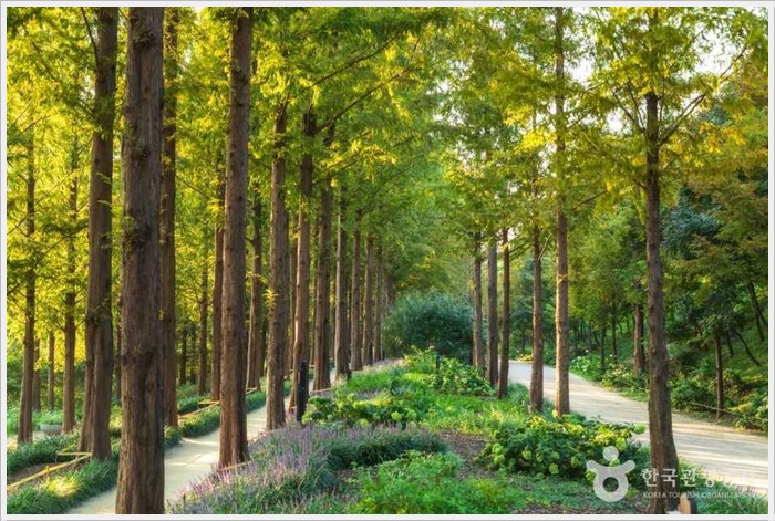 난지공원 테마숲길