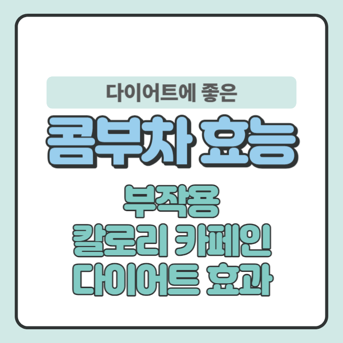 콤부차 효능, 부작용, 카페인, 다이어트, 칼로리