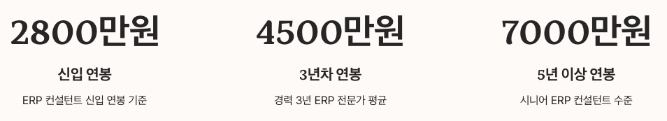 ERP 컨설턴트 연봉 정리 이미지