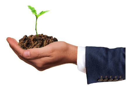 2024 임업직불금 신청자격 신청방법과 관련된 작물 사진