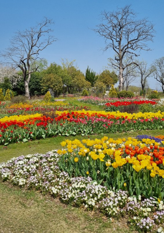 순천만국가정원 4월 튤립축제 포토존