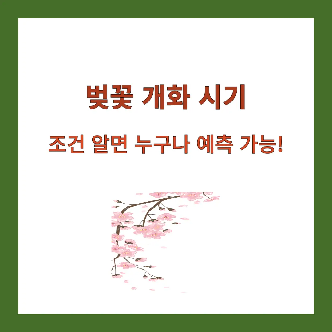 벚꽃-개화-시기