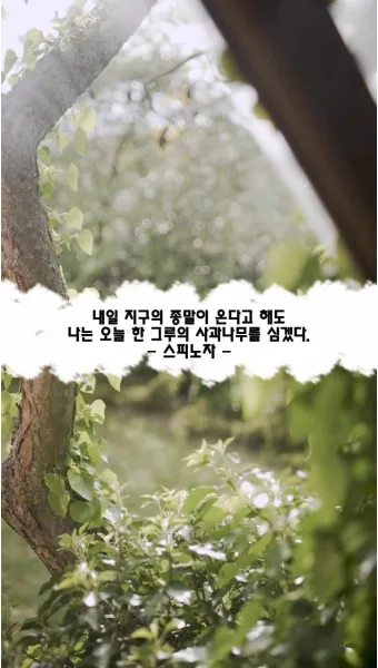 내일 지구의 종말이 올지라도 오늘 나는 한 그루 사과나무를 심는다 명언 해설_14