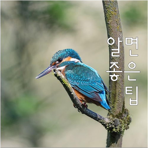 내 차 광택, 얼마나 자주 해야 할까