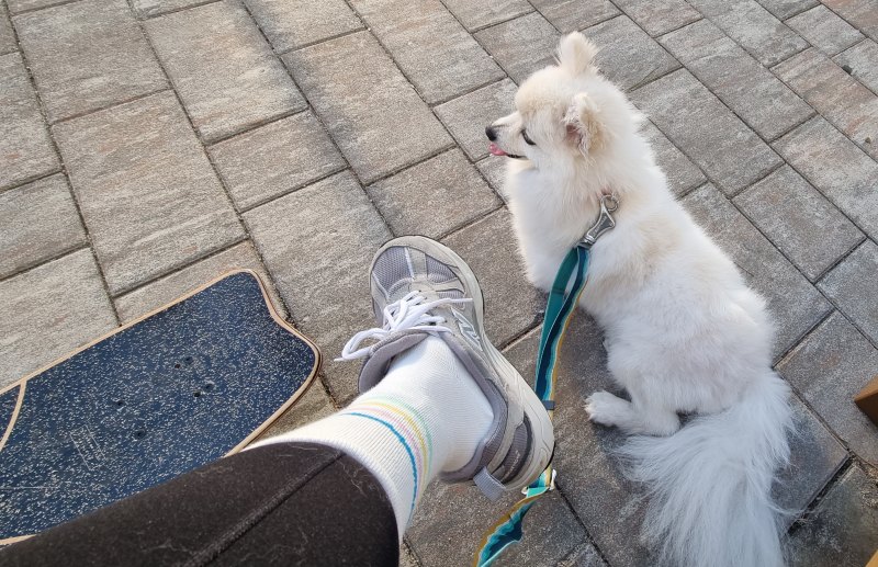 예쁜디자인의 양말