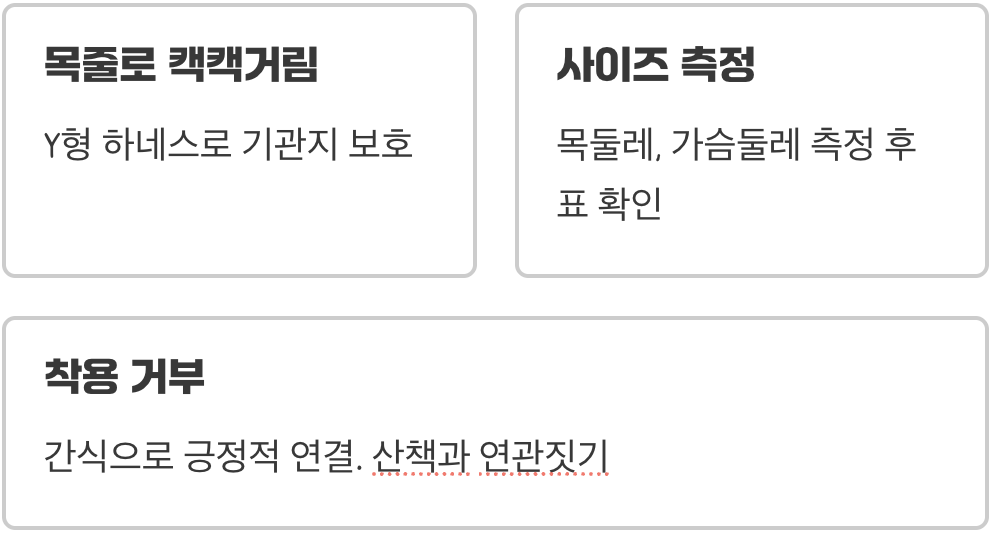 호지하네스 vs 일반 하네스&amp;#44; 뭐가 더 좋을까? (솔직 비교)