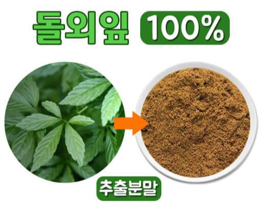 다이어트에 좋은 성분 돌외잎 효능6가지 및 부작용