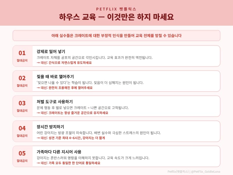 강아지 하우스 교육 절대 하면 안 되는 실수 5가지 인포그래픽 — 강제로 밀어 넣기, 짖을 때 열어주기, 처벌 도구 사용, 장시간 방치, 다른 지시어 사용 금지 안내 ❘ Petflix(펫플릭스)