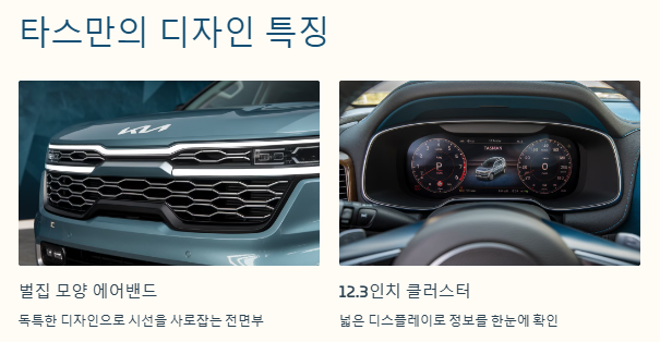 타스만의 디자인 특징