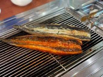 민물장어 가격 효능 민물장어 바다장어 차이 종류_15