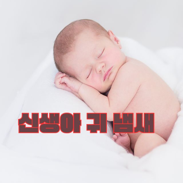 신생아 귀냄새