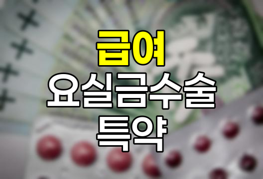 메리츠화재 급여 요실금수술특약 심층 분석