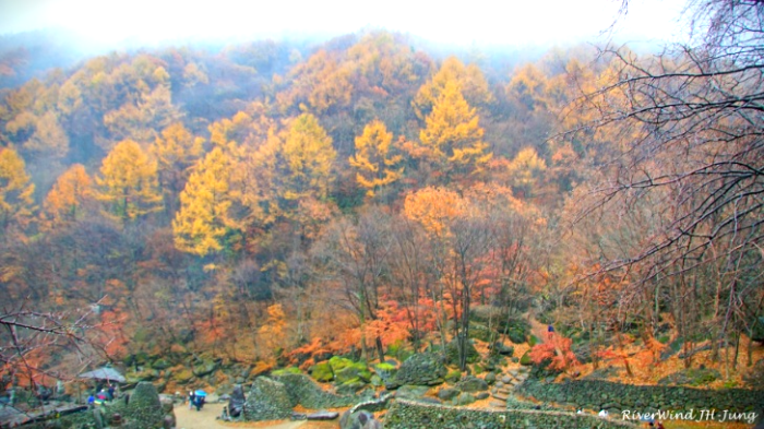 지리산 청학동 단풍
