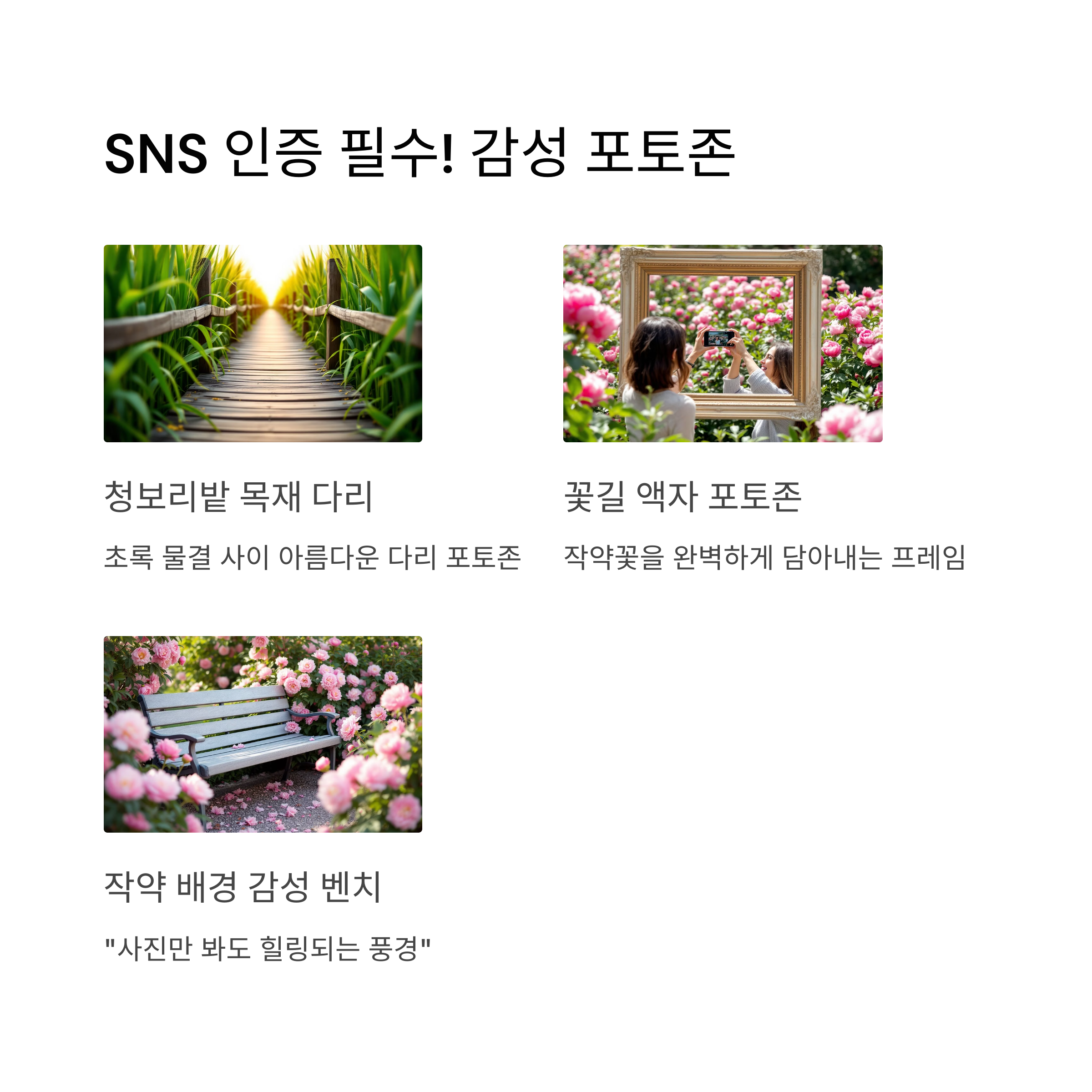 함안 청보리와 작약의 계절