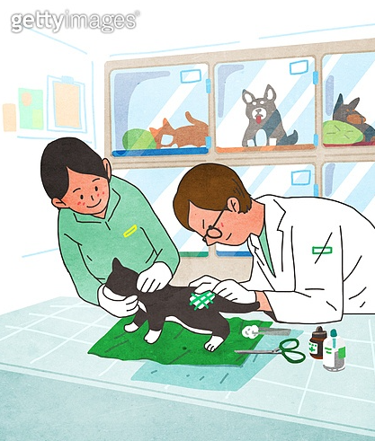 민생지원금 동물병원 가능할까? 사용처 기준 반려동물 관련 업종 총정리4