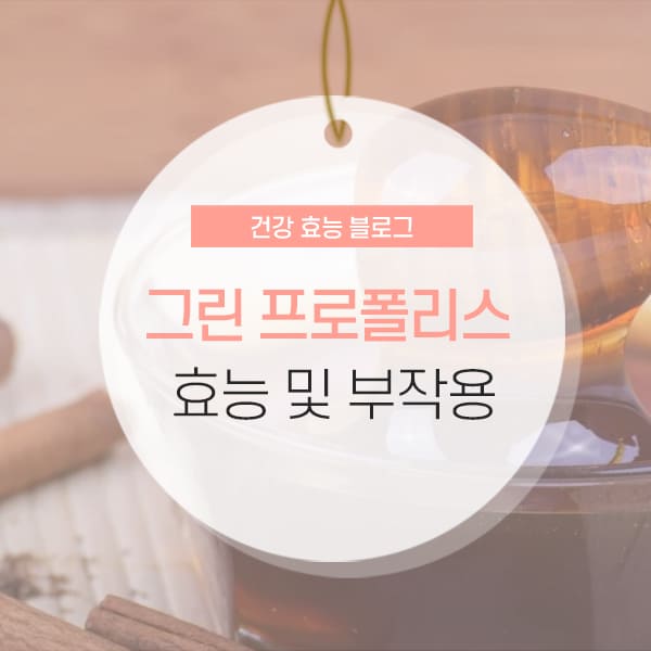 그린 프로폴리스 효능 및 부작용 등 소개 컨텐츠