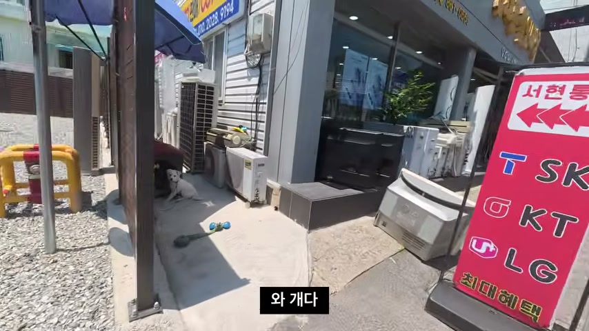 장면 캡쳐