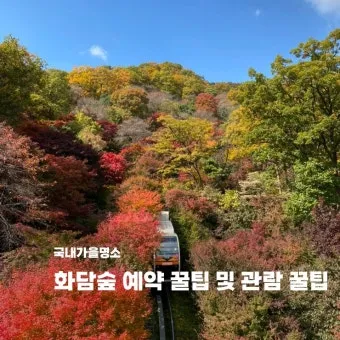 화담숲 입장료 할인 받는 법부터 예매 꿀팁까지는 총정리_10