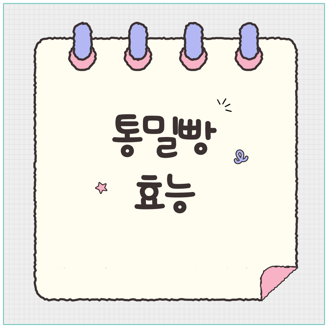 통밀빵 효능