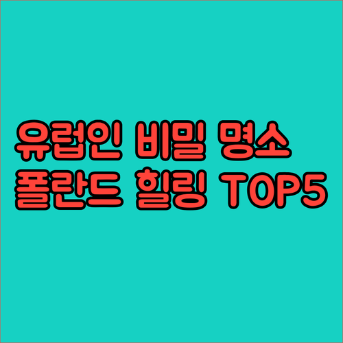 폴란드 토마쇼프 루벨스키에서 발견한 ..