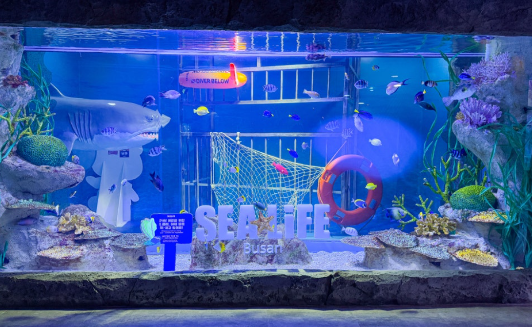 부산 아쿠아리움