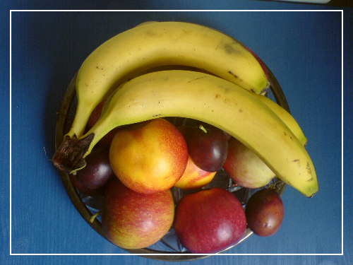 알파CD 섭취 전 마지막 체크포인트 