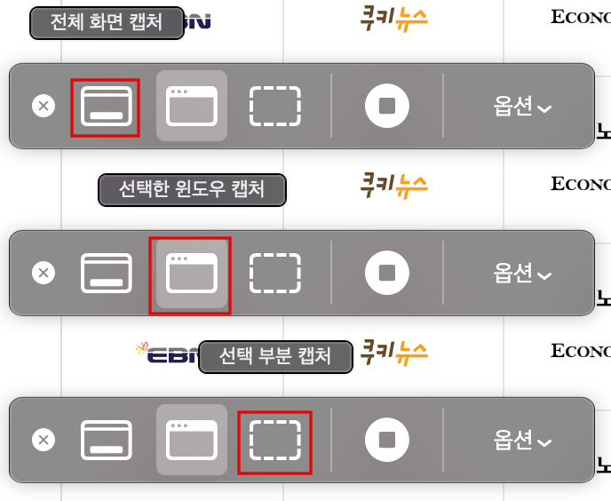 Command + Shift + 5를 누르면 나오는 캡처도구 바