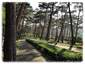 안면도 수목원