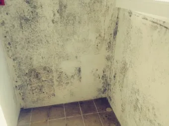 곰팡이 제거 락스 과탄산소다 환기 습기 원인 총정리_22