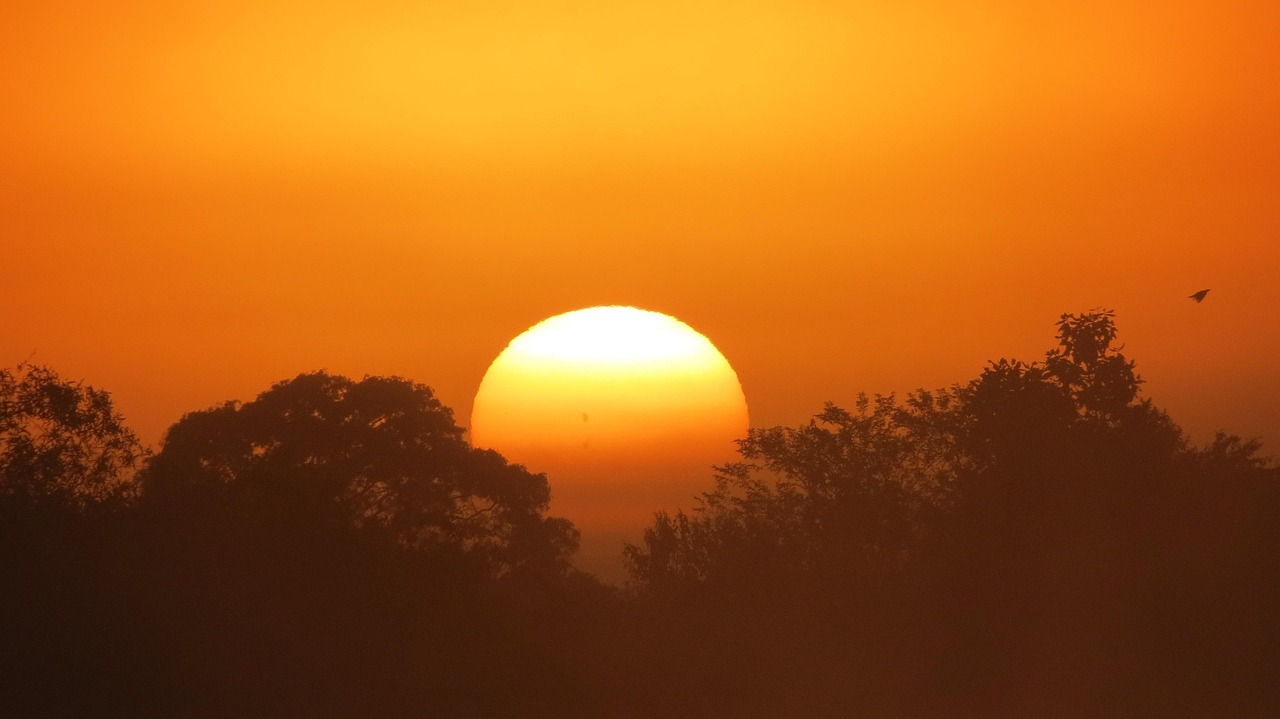 필름 카메라를 복원하는 동네 카메라 장인의 하루