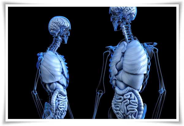 &quot;보건증 발급&quot; 식품 취급 업종(카페, 제과점, 음식점 등) 종사(알바 포함)하는 모든 사람 발급 필수!