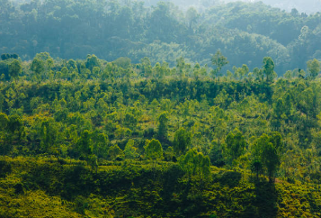 화담숲 모노레일 예약