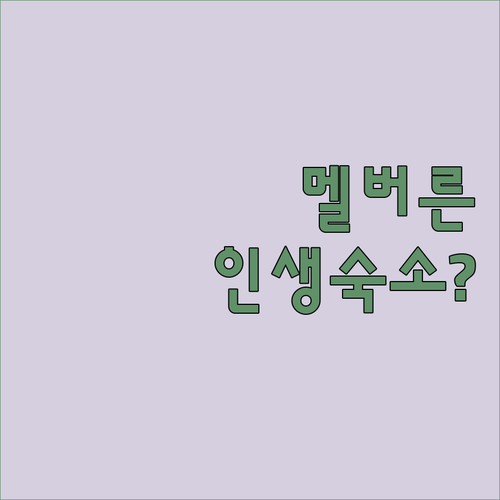 멜버른 윌리엄스타운 숙소 추천 TOP..
