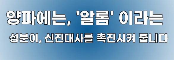 양파에는, '알롬' 이라는 성분이, 신진대사를 촉진시켜 줍니다