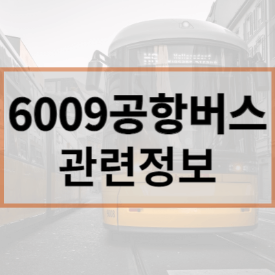 6009-공항버스