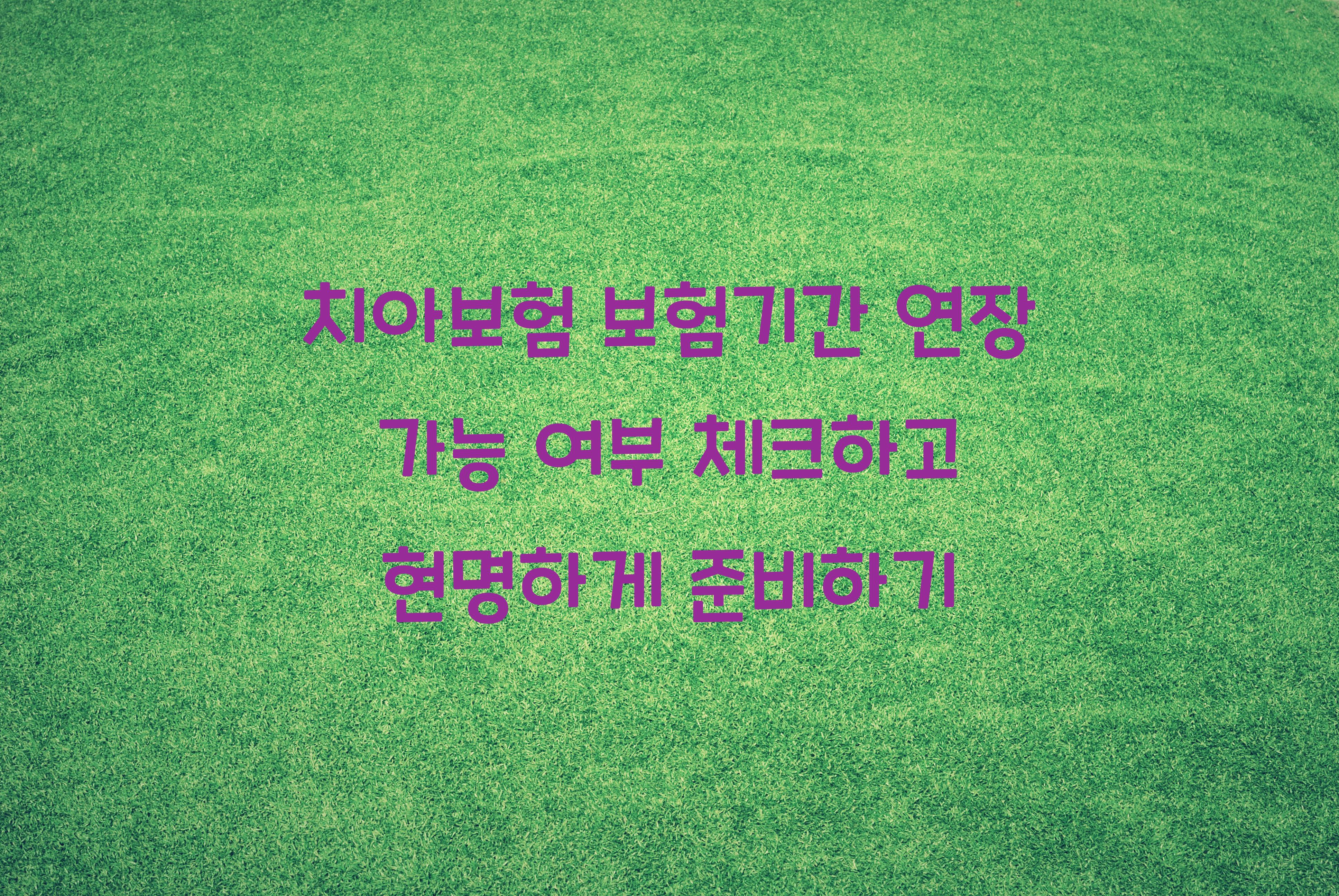 치아보험 보험기간 연장 가능 여부