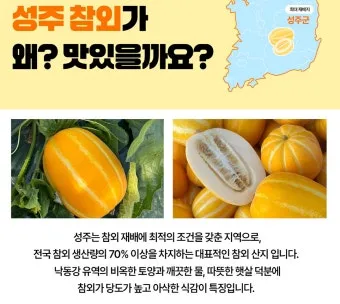 성주 참외 축제 알찬 정보 가요제 행사 일정 완벽 정리_10