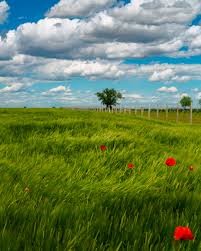 농지연금 가입조건