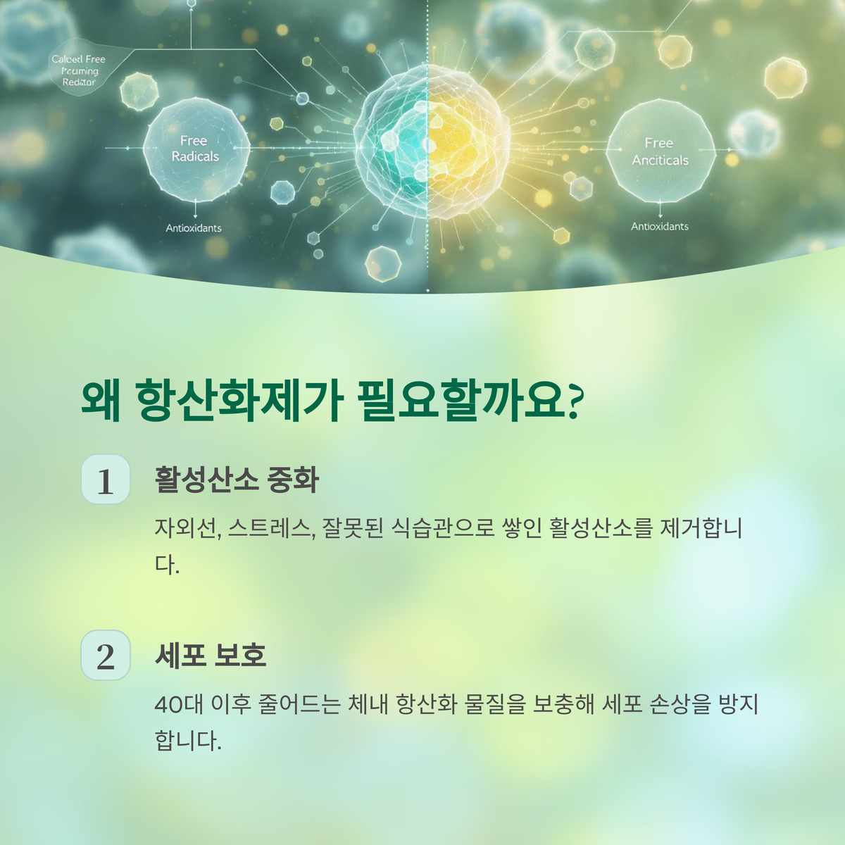 40대 이후 왜 항산화 영양제가 필요할까?
