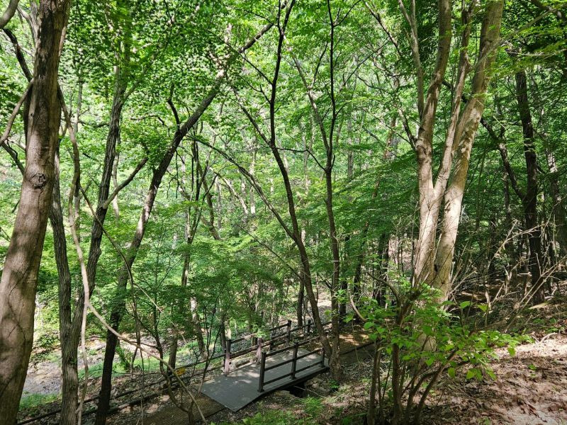 한천자연휴양림