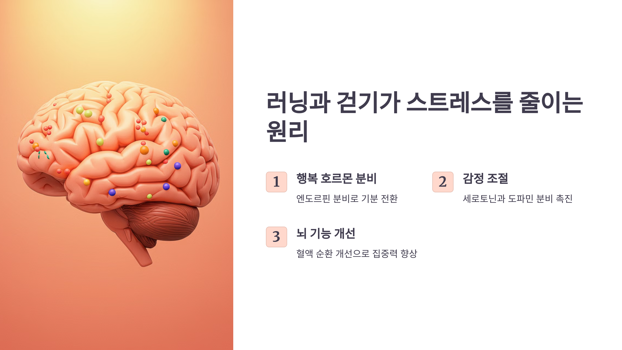 달리기와 걷기가 스트레스를 줄이는 원리