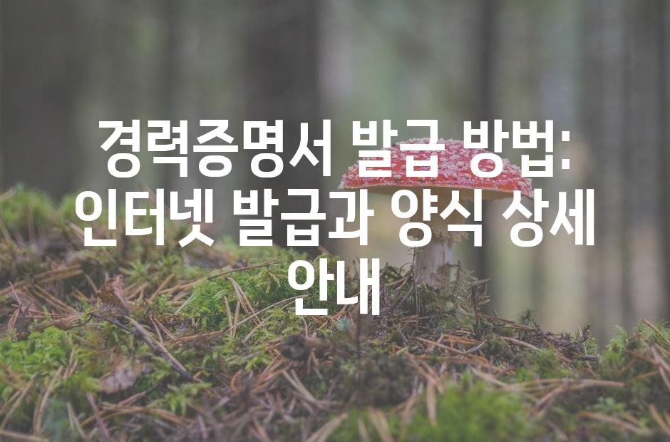 샘플 (42)