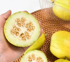 망고참외 관련 사진