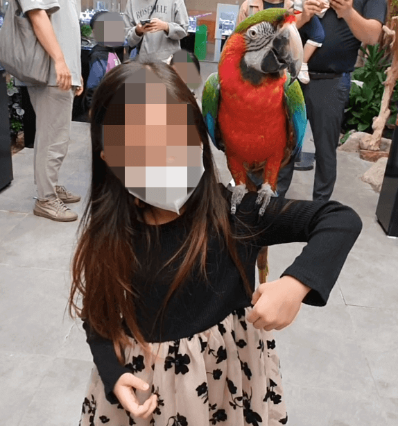 실내동물원-앵무새체험