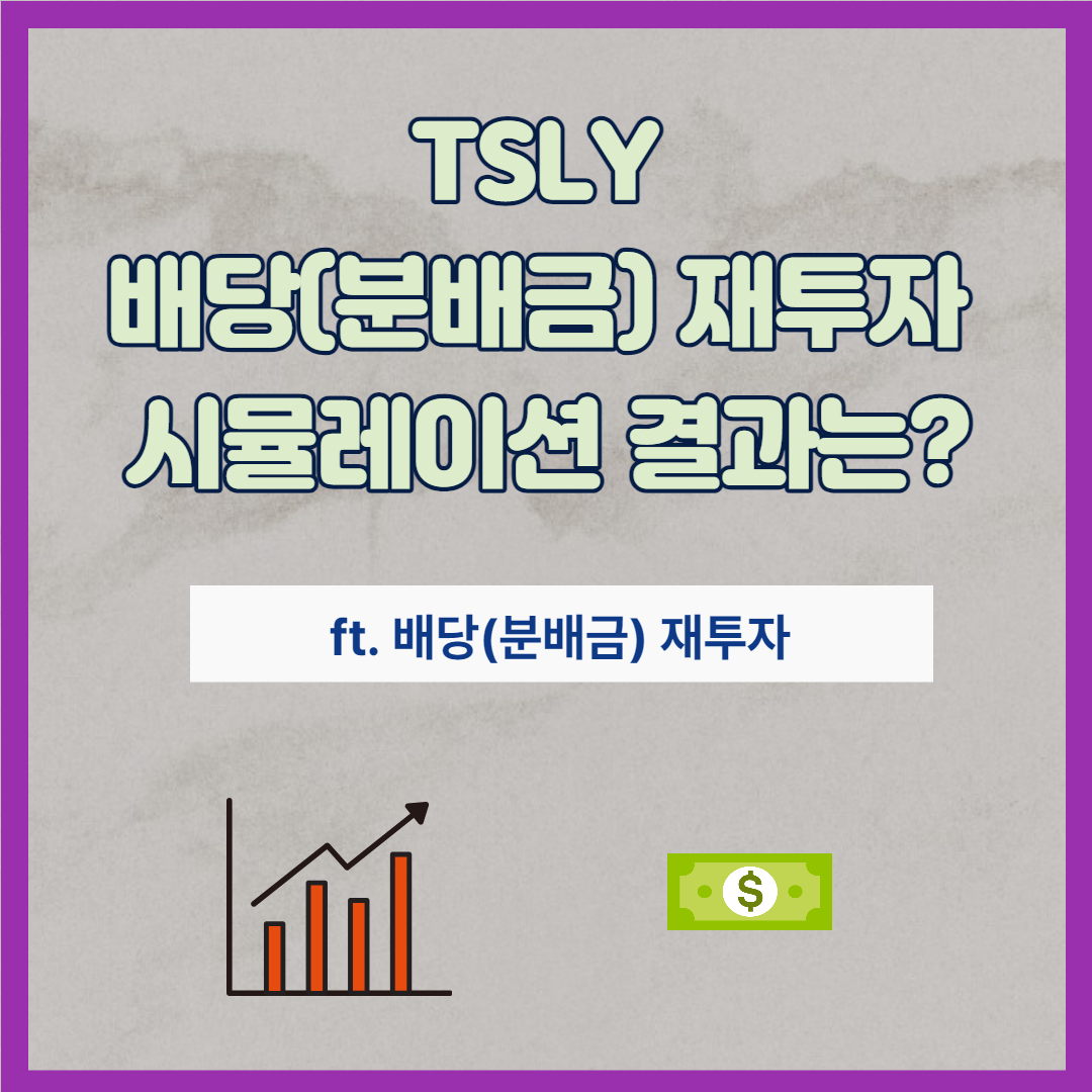 TSLY 배당(분배금) 재투자 시뮬레이션