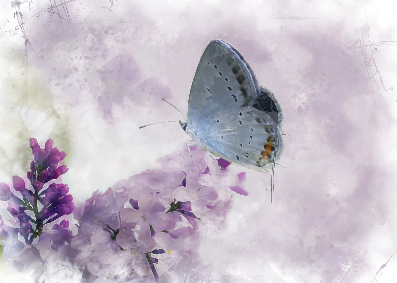 시험관 시술 신청 시 유의사항